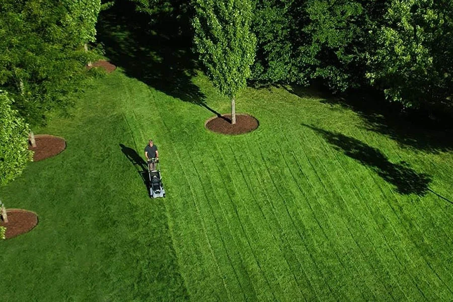 cordless self propelled lawn mowers